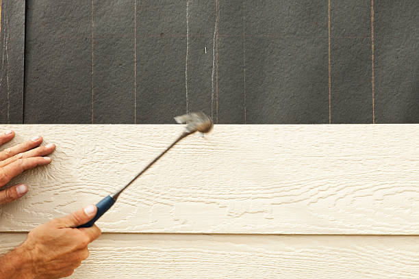  Lady Lake, FL Siding Pros